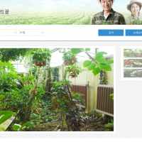(홈페이지) 국립원예특작과학원 > 생활원예 > 오늘의꽃