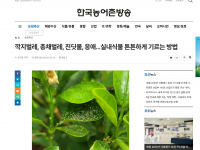 깍지벌레, 총채벌레, 진딧물, 응애…실내식물 튼튼하게 기르는 방법(2023-05-25)