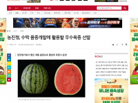농진청, 수박 품종개발에 활용할 우수육종 선발(2023-06-28)