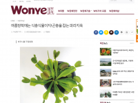 여름방학에는 식충식물이지! 곤충을 잡는 파리지옥(2023-07-01)