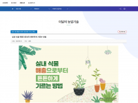 실내 식물 해충으로부터 튼튼하게 기르는 방법(2023-06-23)