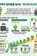 정원 관목류 13종의 광차단 후 회복특성을 활용한 광순화처리 기술